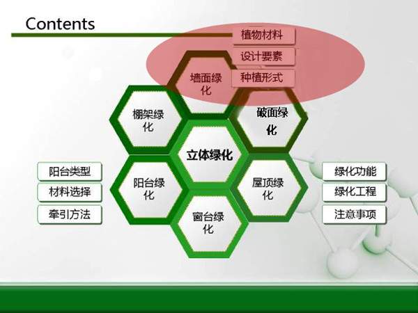 立體綠化方案總圖